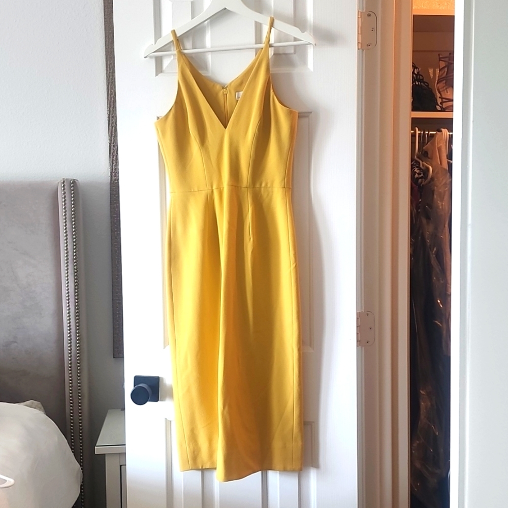 Dress The Population Dress